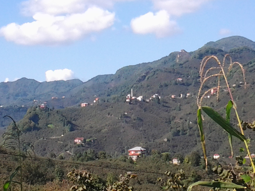 Turquie - Avant Tirebolu